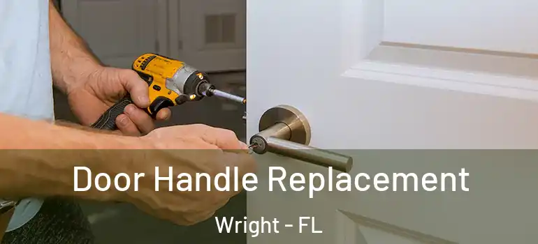  Door Handle Replacement Wright - FL