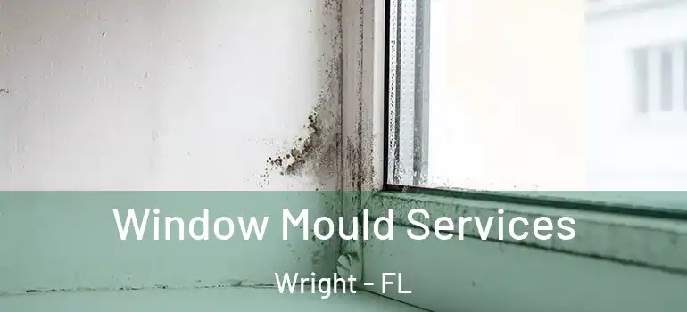  Window Mould Services Wright - FL